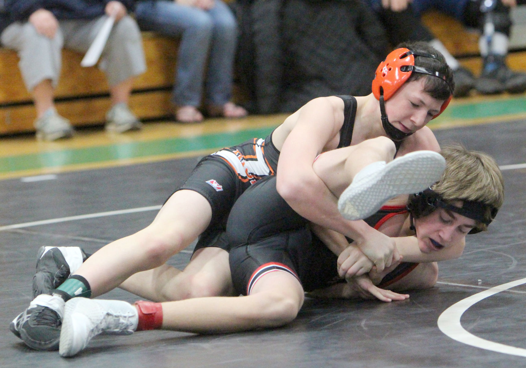 Division 2 Wrestling Regional at Regis/Altoona 2-15-20